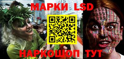 spice Кинель