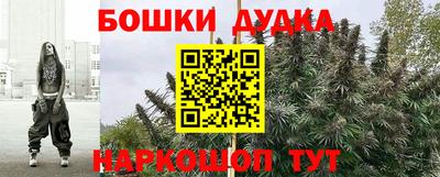 spice Кинель